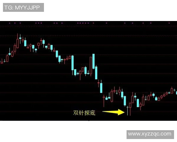 成都乒乓球队战术解析：全面解读其盯防体系与实战应用